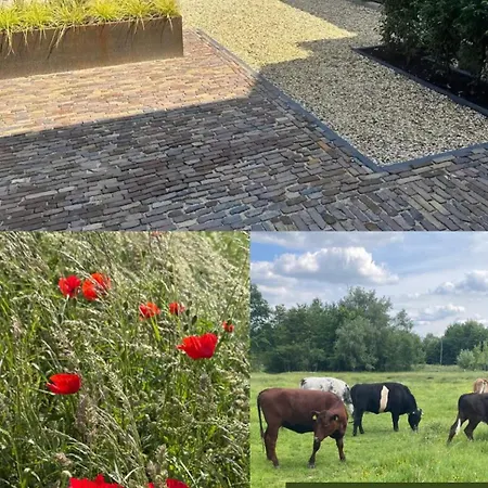 Tatil Evi Os Hoes 1851 *