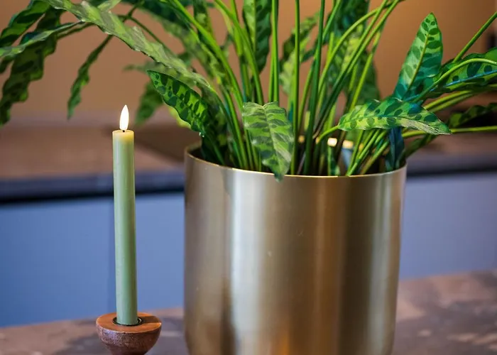 Os Hoes 1851 3* Nuth